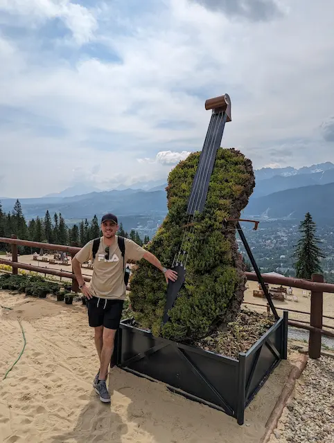Cello made with plants in Zakopane, Poland