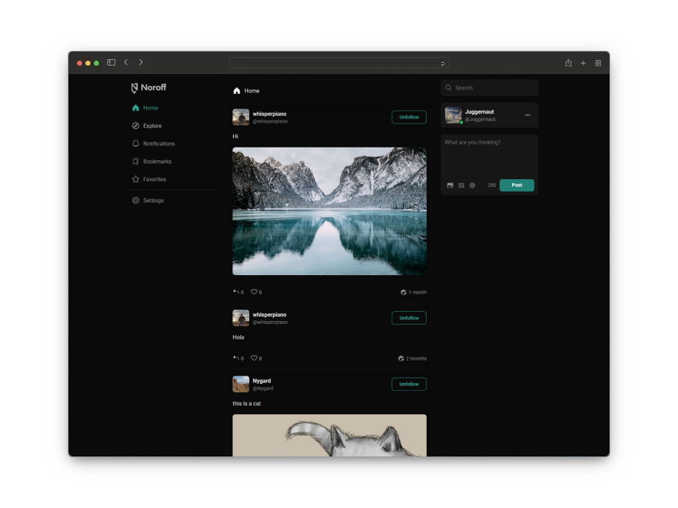 Screenshot of the project Noroff Social